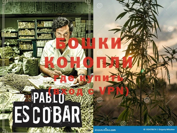 хмурый Алексин