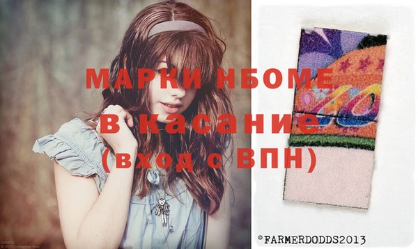хмурый Алексин