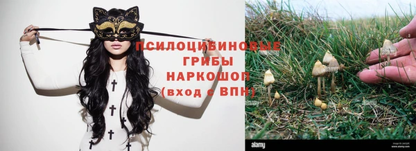хмурый Алексин