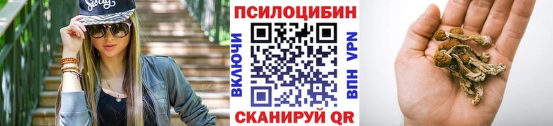 купить наркотик  Миньяр  Галлюциногенные грибы MAGIC MUSHROOMS 